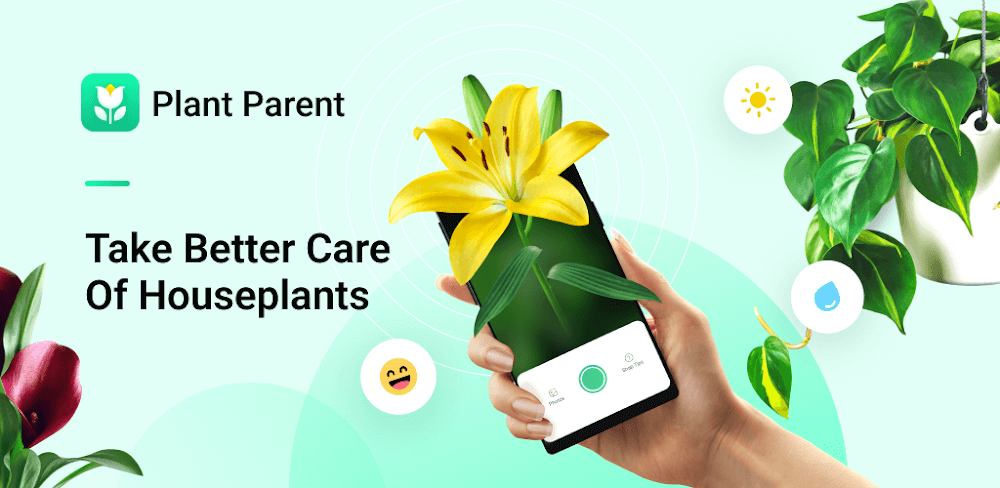 plant-parent:-plant-care-guide